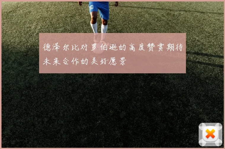 德泽尔比对罗伯逊的高度赞赏期待未来合作的美好愿景