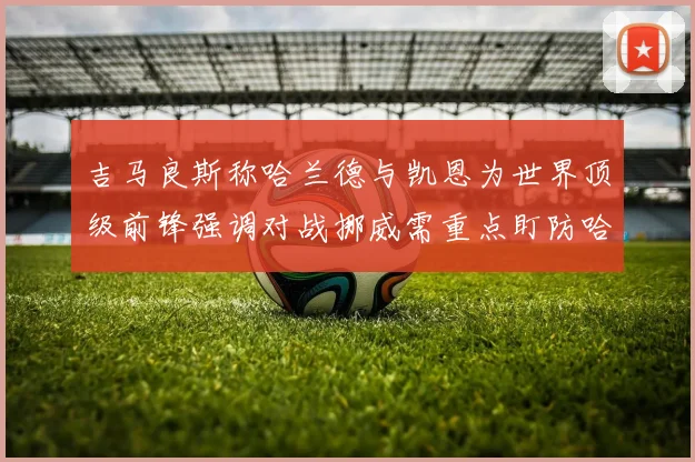 吉马良斯称哈兰德与凯恩为世界顶级前锋强调对战挪威需重点盯防哈兰德