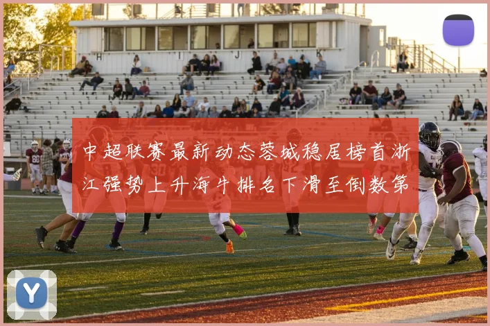 中超联赛最新动态蓉城稳居榜首浙江强势上升海牛排名下滑至倒数第三
